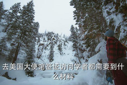 去美国大使馆签证访问学者都需要到什么材料