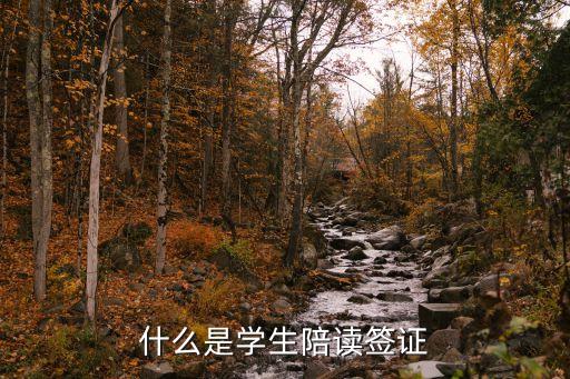 什么是学生陪读签证