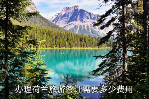 办理荷兰旅游签证需要多少费用