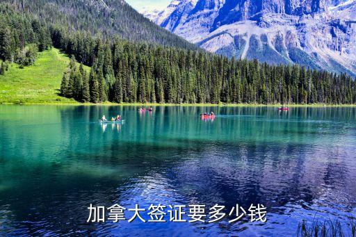 加拿大签证要多少钱