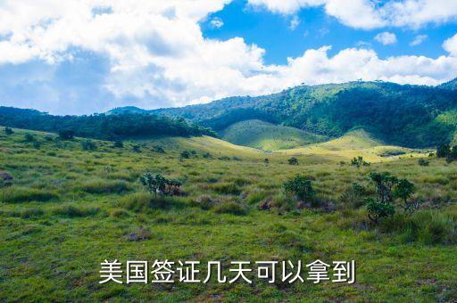 美国签证几天可以拿到
