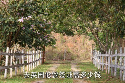 去英国伦敦签证需多少钱