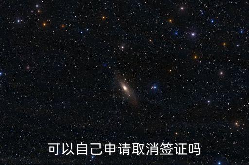 可以自己申请取消签证吗