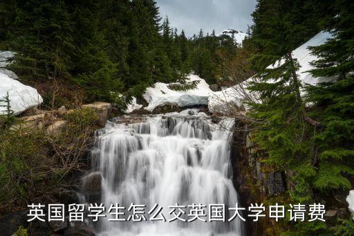 英国留学生怎么交英国大学申请费