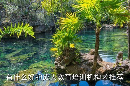 有什么好的成人教育培训机构求推荐