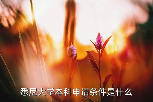 悉尼大学本科申请条件是什么