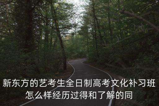 新东方的艺考生全日制高考文化补习班怎么样经历过得和了解的同