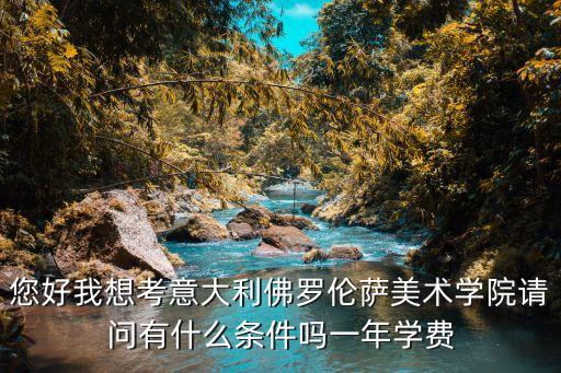 您好我想考意大利佛罗伦萨美术学院请问有什么条件吗一年学费