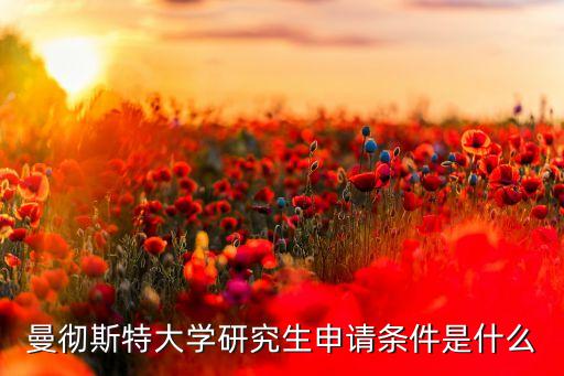 曼彻斯特大学研究生申请条件是什么