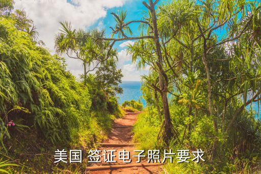 美国 签证电子照片要求