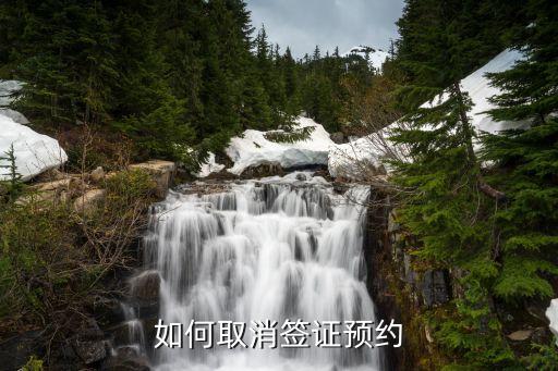 如何取消签证预约
