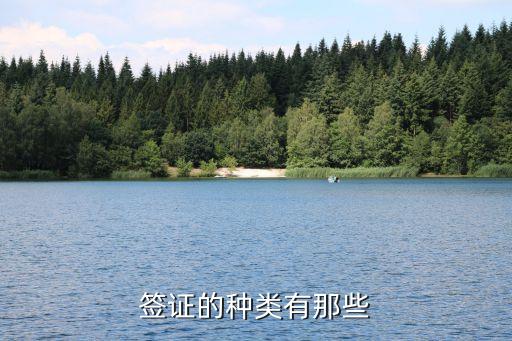 签证的种类有那些