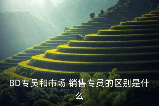 BD专员和市场 销售专员的区别是什么