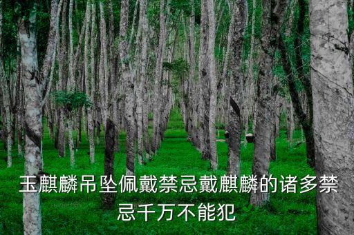  玉麒麟吊坠佩戴禁忌戴麒麟的诸多禁忌千万不能犯