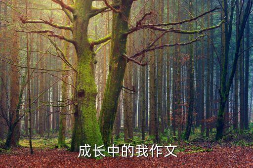  成长中的我作文