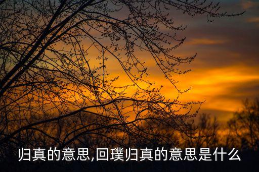 归真的意思,回璞归真的意思是什么