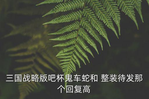三国战略版吧杯鬼车蛇和 整装待发那个回复高
