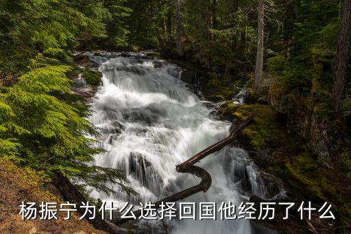  杨振宁为什么选择回国他经历了什么