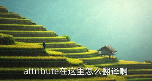 attribute在这里怎么翻译啊