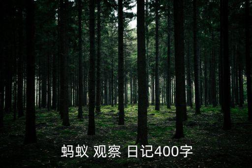  蚂蚁 观察 日记400字