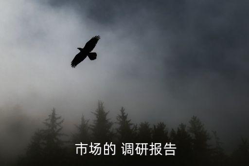  市场的 调研报告