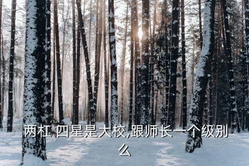 两杠 四星是大校,跟师长一个级别么