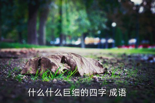 什么什么巨细的四字 成语