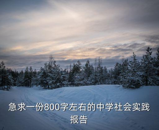 急求一份800字左右的中学社会实践报告