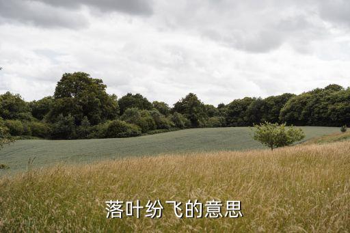 落叶纷飞的意思