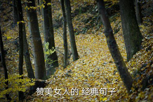 赞美女人的 经典句子