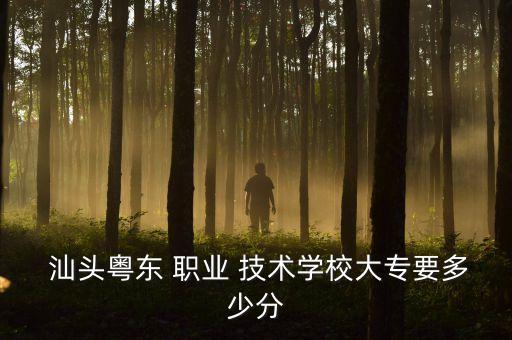  汕头粤东 职业 技术学校大专要多少分