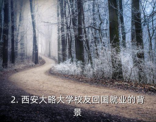 西安大略大学回国就业,西安大略大学校友回国就业