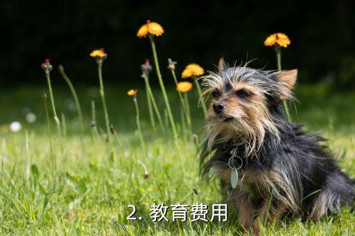 高中去法国留学费用,高中生攻略：法国留学费用概览