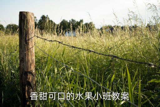 香甜可口的水果小班教案