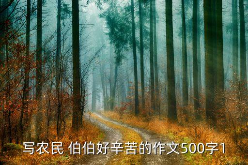 写农民 伯伯好辛苦的作文500字1