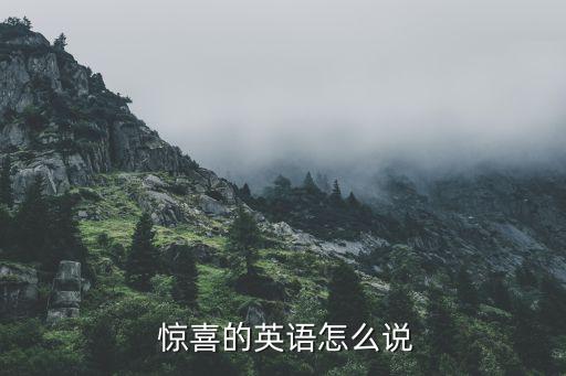 惊喜的英文是什么,惊喜英文怎么写?惊喜的英语怎么翻译?