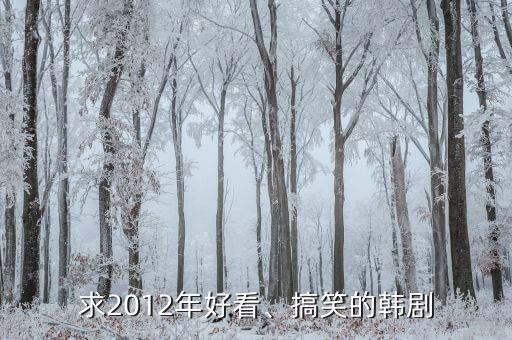 求2012年好看、搞笑的韩剧