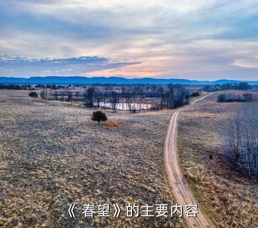 《 春望》的主要内容