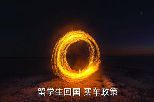  留学生回国 买车政策
