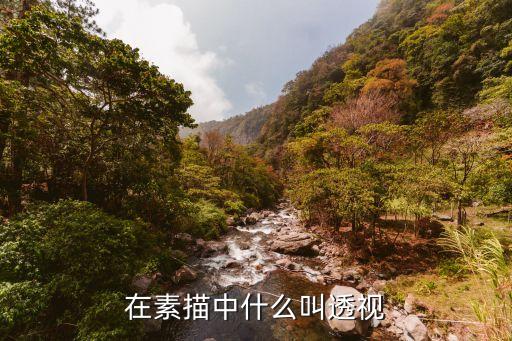 在素描中什么叫透视