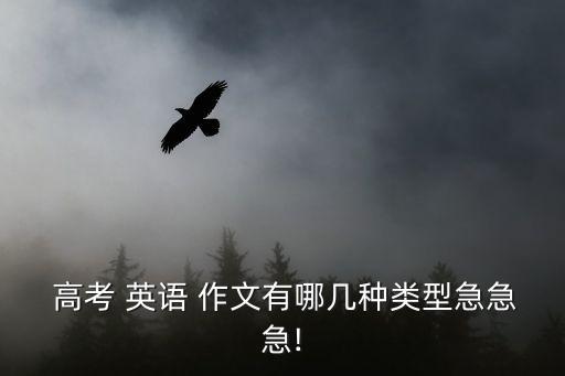  高考 英语 作文有哪几种类型急急急!