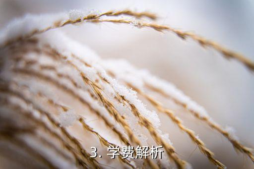 香港大学入学条件和费用,香港大学录取标准和学费解析