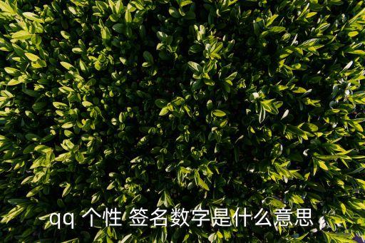 qq 个性 签名数字是什么意思