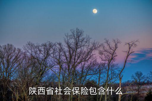 陕西省社会保险包含什么