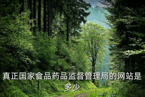 真正国家食品药品监督管理局的网站是多少