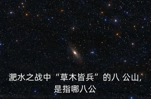 淝水之战中“草木皆兵”的八 公山,是指哪八公