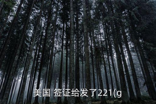 美国 签证给发了221(g