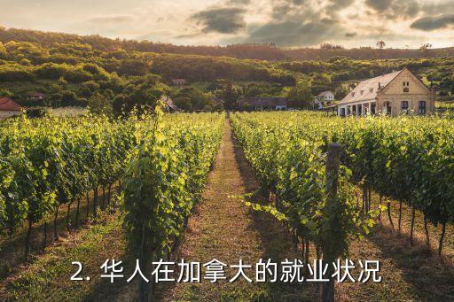 华人在加拿大好找工作吗,华人在加拿大容易就业吗？
