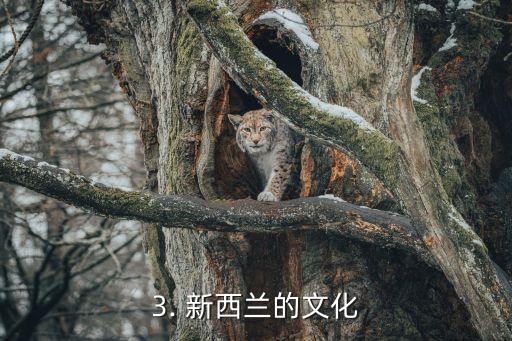 世界地图里新西兰,世界地图上的大洋洲小国——新西兰