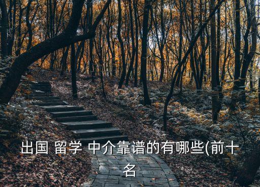 出国 留学 中介靠谱的有哪些(前十名